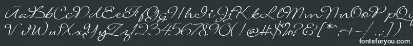 SignaritaLouisseLight Font – White Fonts