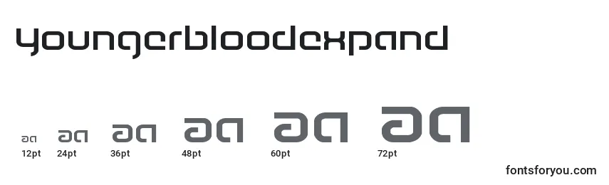 Youngerbloodexpand Font Sizes