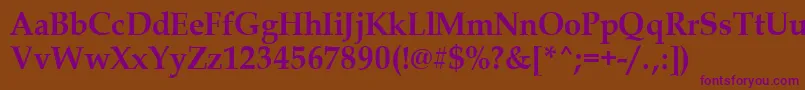 PalladiusBold Font – Purple Fonts on Brown Background