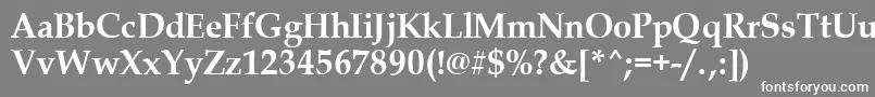 PalladiusBold Font – White Fonts on Gray Background