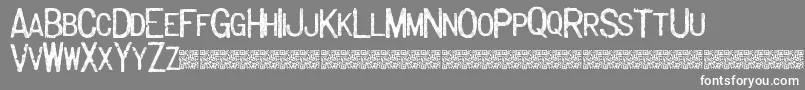 フォントMajorlabel – 灰色の背景に白い文字