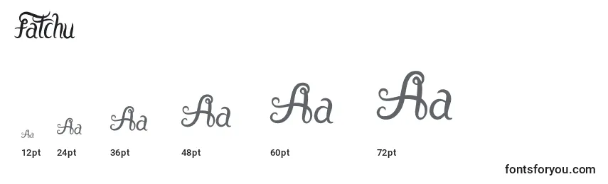 Fatchu Font Sizes