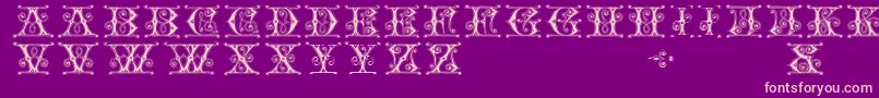 GingerbreadInitials Font – Pink Fonts on Purple Background