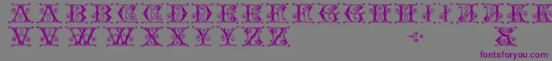 GingerbreadInitials-Schriftart – Violette Schriften auf grauem Hintergrund