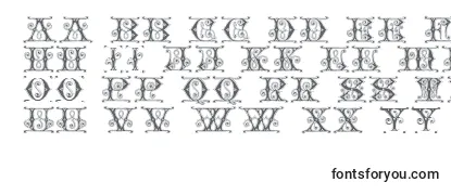 Review of the GingerbreadInitials Font