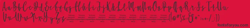 MollucaFree Font – Black Fonts on Red Background