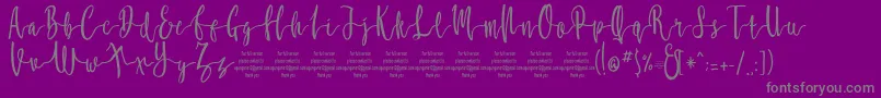 MollucaFree Font – Gray Fonts on Purple Background