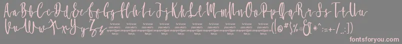 MollucaFree Font – Pink Fonts on Gray Background