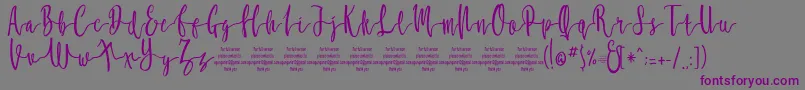 MollucaFree Font – Purple Fonts on Gray Background