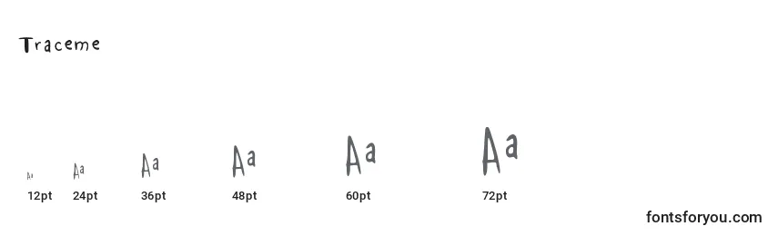 Traceme Font Sizes
