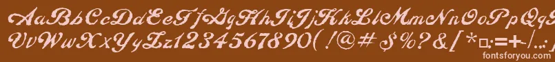 ConstitutionLtRegular Font – Pink Fonts on Brown Background