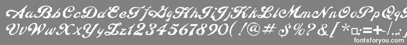 ConstitutionLtRegular Font – White Fonts on Gray Background