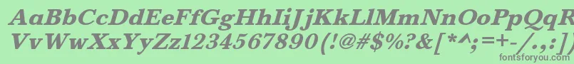 BaskervaldadfstdHeavyitalic Font – Gray Fonts on Green Background