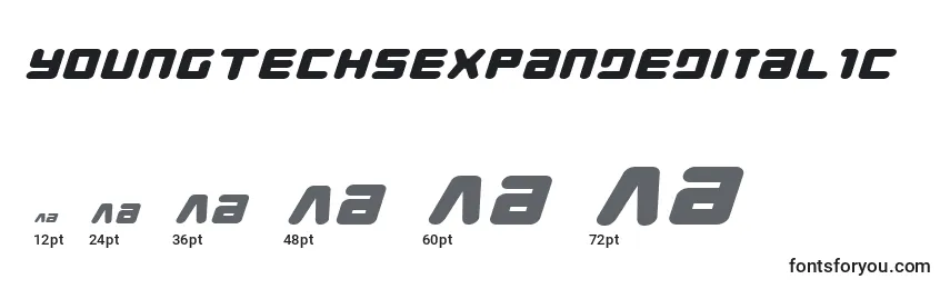 YoungTechsExpandedItalic Font Sizes