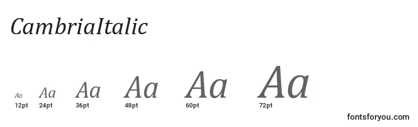 CambriaItalic Font Sizes