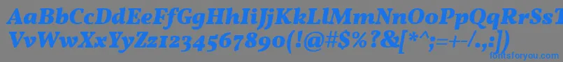 フォントVollkornBoldItalic – 灰色の背景に青い文字