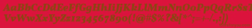 VollkornBoldItalic Font – Brown Fonts on Red Background