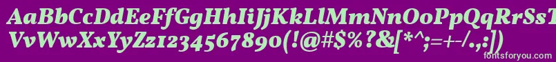 VollkornBoldItalic Font – Green Fonts on Purple Background