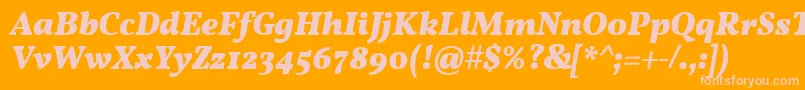 En savoir plus sur la police VollkornBoldItalic Police VollkornBoldItalic – polices roses sur fond orange