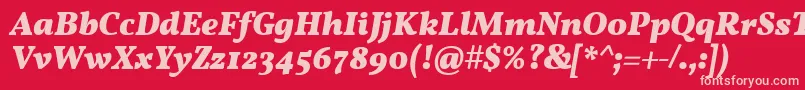 Police VollkornBoldItalic – polices roses sur fond rouge