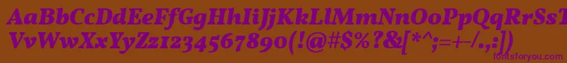 VollkornBoldItalic Font – Purple Fonts on Brown Background