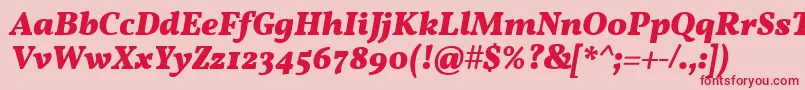 VollkornBoldItalic Font – Red Fonts on Pink Background