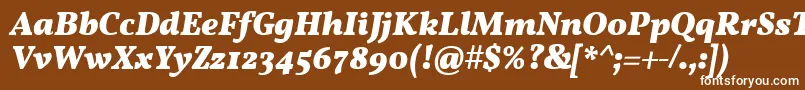 フォントVollkornBoldItalic – 茶色の背景に白い文字