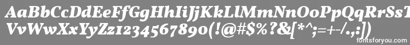 VollkornBoldItalic Font – White Fonts on Gray Background