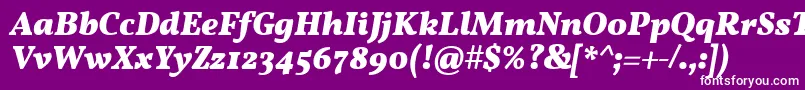 VollkornBoldItalicフォントについての詳細 フォントVollkornBoldItalic – 紫の背景に白い文字
