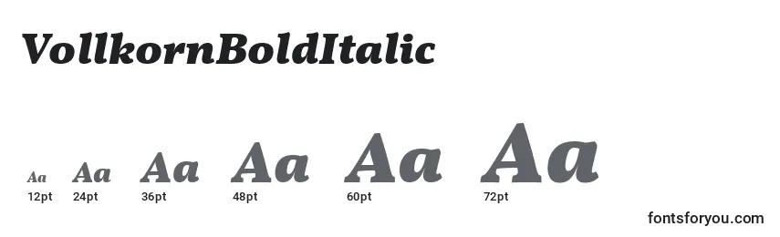 Größen der Schriftart VollkornBoldItalic
