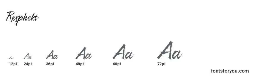 Resphekt Font Sizes