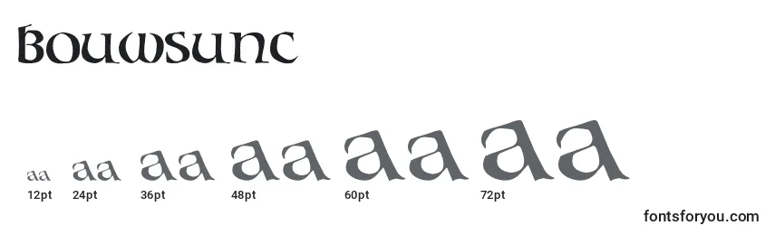 Bouwsunc Font Sizes