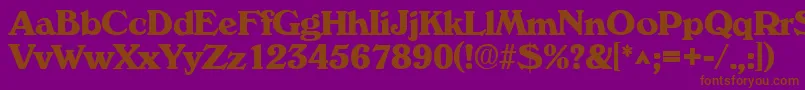 VeronaBold-Schriftart – Braune Schriften auf violettem Hintergrund