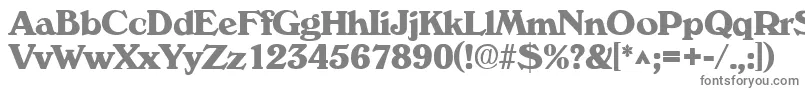 VeronaBold Font – Gray Fonts on White Background