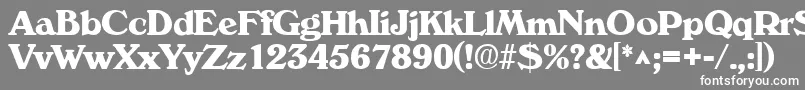 フォントVeronaBold – 灰色の背景に白い文字