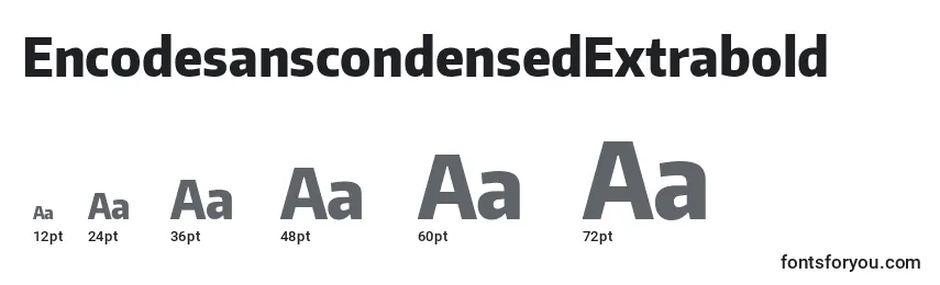EncodesanscondensedExtrabold Font Sizes