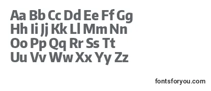 EncodesanscondensedExtrabold Font