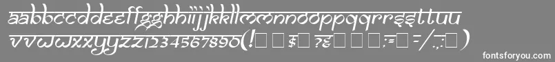 Samaro Font – White Fonts on Gray Background