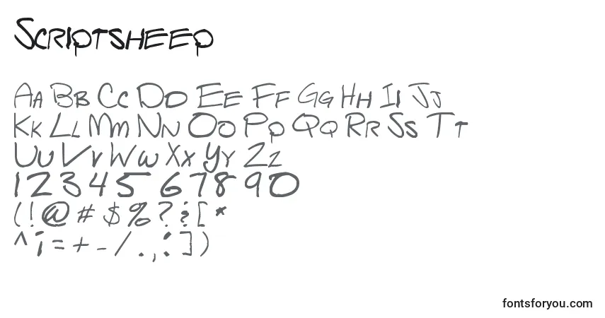 Шрифт Scriptsheep – алфавит, цифры, специальные символы