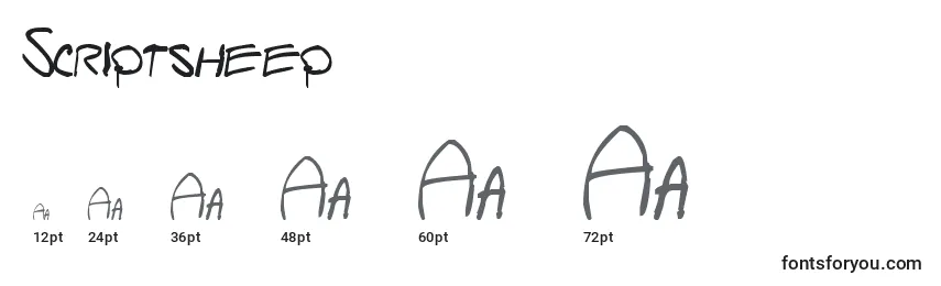 Scriptsheep Font Sizes