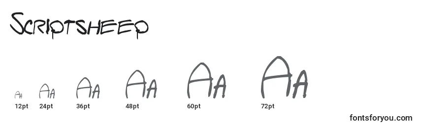 Größen der Schriftart Scriptsheep