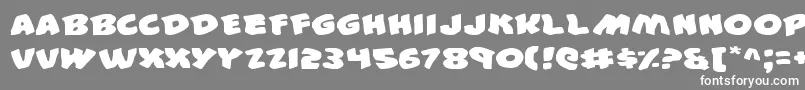 フォント44v2e – 灰色の背景に白い文字