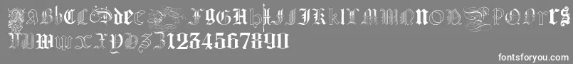 フォントKidnappedAtGermanLands – 灰色の背景に白い文字