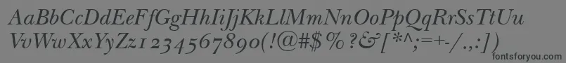 NewbaskervilleodttItalic Font – Black Fonts on Gray Background