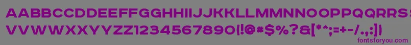 RoadradioBlack Font – Purple Fonts on Gray Background