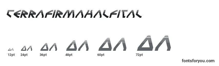 Terrafirmahalfital Font Sizes
