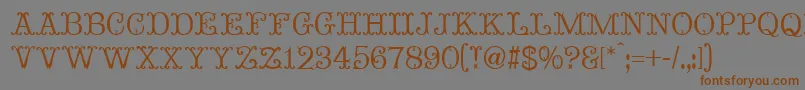MadameBovaryNormal-fontti – ruskeat fontit harmaalla taustalla