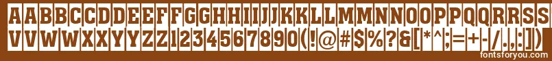 フォントAAssuantitulcm – 茶色の背景に白い文字