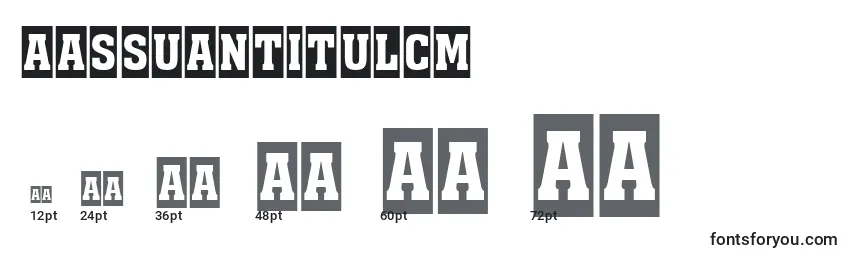 AAssuantitulcm Font Sizes