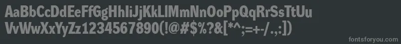 フォントDynagroteskdmBold – 黒い背景に灰色の文字